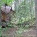 cedar forest, wagon home, caravan house, recycled materials