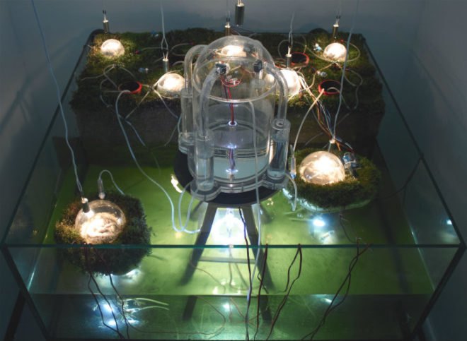 Studiomobile, Italy, Networking Nature, Venice Architecture Biennale 2012, sea level rise, climate change, solar still, fresh water, ecosystem