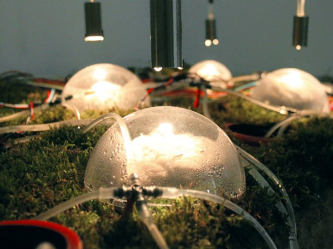 Studiomobile, Italy, Networking Nature, Venice Architecture Biennale 2012, sea level rise, climate change, solar still, fresh water, ecosystem
