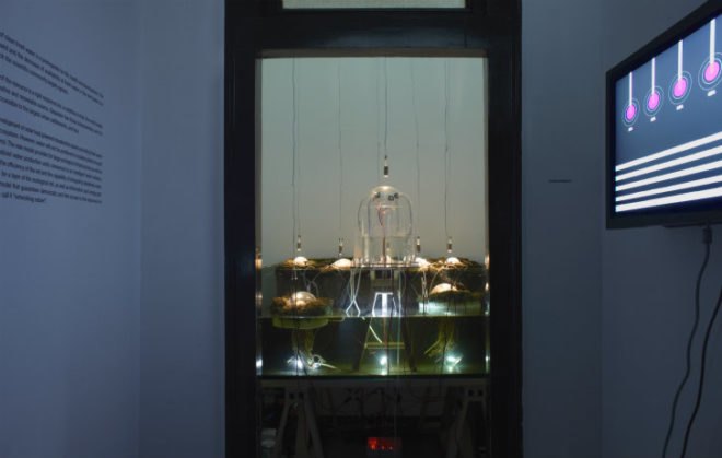 Studiomobile, Italy, Networking Nature, Venice Architecture Biennale 2012, sea level rise, climate change, solar still, fresh water, ecosystem