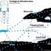 Studiomobile, Italy, Networking Nature, Venice Architecture Biennale 2012, sea level rise, climate change, solar still, fresh water, ecosystem