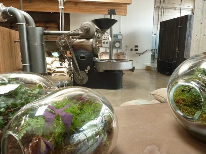 Sightglass Coffee, Architecture and the City, Boor Bridges Architecture, green design, sustainable materials, coffee roaster, terrarium