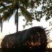 Ivan Juarez, X-Studio, X-Studio Architecture, Natural Architecture, Palm Observatory, Lightweave Palm Observatory, All Saints Bay Brazil, Itaparica Brazil, Green Building, Natural Building