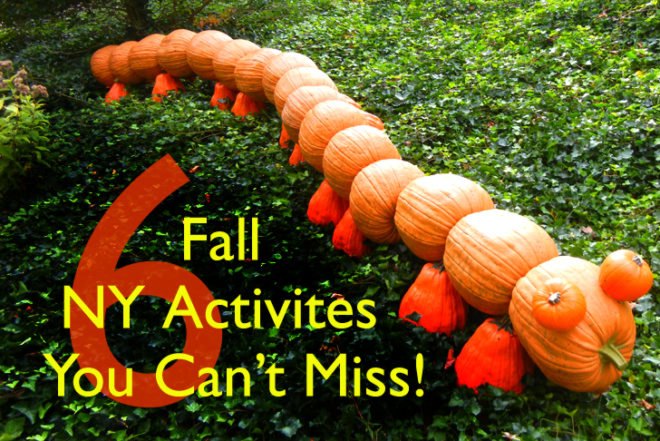 fall activities nyc, fall festivals, fall foliage, fall food, fall fun, fall in new york, fall in new york city, things to do nyc, green nyc