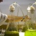oregon state university, dinosaur, diatoms, biofuel production, algae biofuel, marine lifeforms, health foods, electronics