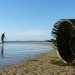 Ivan Juarez, X-Studio, X-Studio Architecture, Natural Architecture, Palm Observatory, Lightweave Palm Observatory, All Saints Bay Brazil, Itaparica Brazil, Green Building, Natural Building