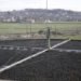 Biodiesel fuel, sewage power, sewage sludge power, biodiesel technology, green fuel