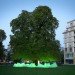 Eco design, Green Design, Sustainable design, Tree Concert, Berlin, Federal Environmental and Nature Conservation, BUND, BBDO Proximity Berlin, Gang of Berlin, Ketchum Pleon PR, LED Installation, Fernsehturn, interactive art installation
