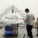 Cloud, Caitlind Brown, reclaimed bulbs, eco art, green lighting, incandescent bulbs, nuit blanche calgary