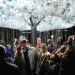 Cloud, Caitlind Brown, reclaimed bulbs, eco art, green lighting, incandescent bulbs, nuit blanche calgary
