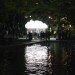Cloud, Caitlind Brown, reclaimed bulbs, eco art, green lighting, incandescent bulbs, nuit blanche calgary