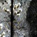 Cloud, Caitlind Brown, reclaimed bulbs, eco art, green lighting, incandescent bulbs, nuit blanche calgary