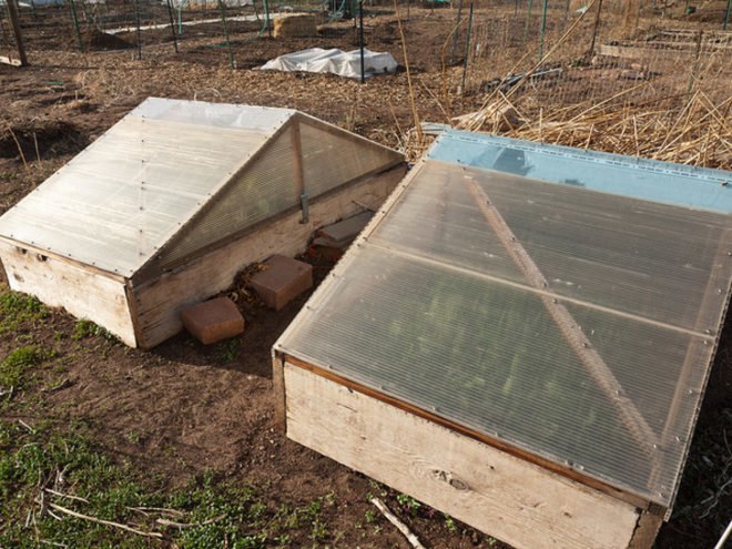 Extension gardening, cloches, hoophouse, greenhouse, winter garden