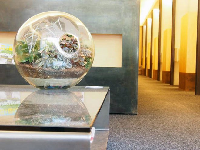 eco design, sustainable design, green design, Crooked Nest, San Francisco Bay Area, terrarium, indoor garden, hand blown glass, living walls, miniature garden