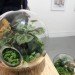 eco design, sustainable design, green design, Crooked Nest, San Francisco Bay Area, terrarium, indoor garden, hand blown glass, living walls, miniature garden