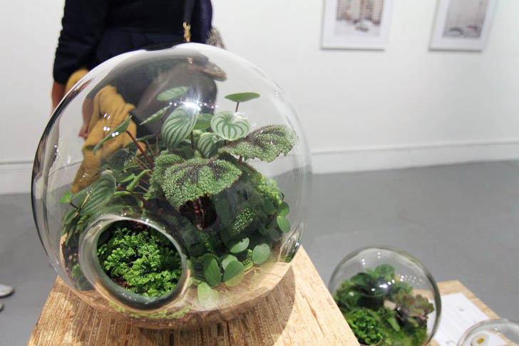 eco design, sustainable design, green design, Crooked Nest, San Francisco Bay Area, terrarium, indoor garden, hand blown glass, living walls, miniature garden