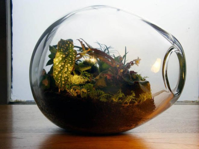 eco design, sustainable design, green design, Crooked Nest, San Francisco Bay Area, terrarium, indoor garden, hand blown glass, living walls, miniature garden