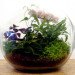 eco design, sustainable design, green design, Crooked Nest, San Francisco Bay Area, terrarium, indoor garden, hand blown glass, living walls, miniature garden