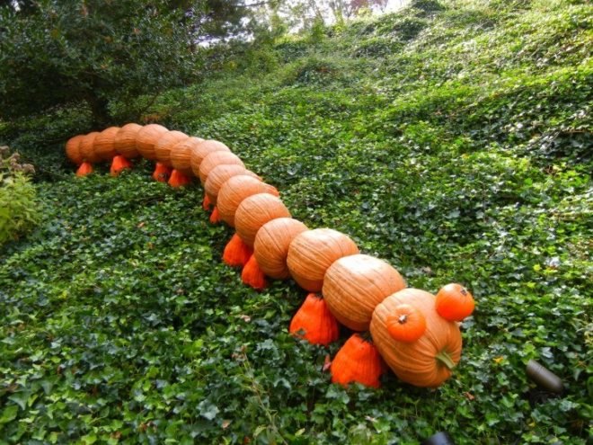 Haunted Pumpkin Garden, new york botanical garden, fall activities nyc, fall festivals, fall foliage, fall food, fall fun, fall in new york, fall in new york city, things to do nyc, green nyc,