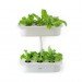 ELIOOO, Hydroponics, DIY Manual, antonio scarponi, conceptual devices, hydroponic gardening, gardening,