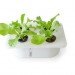 ELIOOO, Hydroponics, DIY Manual, antonio scarponi, conceptual devices, hydroponic gardening, gardening,