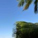 Ivan Juarez, X-Studio, X-Studio Architecture, Natural Architecture, Palm Observatory, Lightweave Palm Observatory, All Saints Bay Brazil, Itaparica Brazil, Green Building, Natural Building