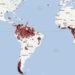 deforestation, indonesia, nasa, ames laboratory, california, environment, mongabay, global forest disturbance alert system, nasa ames laboratory, indonesia deforestation,