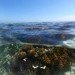 Google, Underwater Street View, Google Maps, Google Sea View, coral reefs, Catlin Seaview Survey, virtual scuba diving