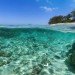 Google, Underwater Street View, Google Maps, Google Sea View, coral reefs, Catlin Seaview Survey, virtual scuba diving