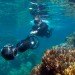 Google, Underwater Street View, Google Maps, Google Sea View, coral reefs, Catlin Seaview Survey, virtual scuba diving