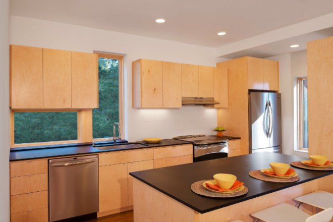 Grow Community, Davis Studio Architecture Design, one planet community, net zero community, net zero house, bainbridge island