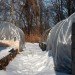 Extension gardening, cloches, hoophouse, greenhouse, winter garden