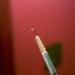 seoul national university, south korea, jack yoh, injection, laser, laser based injection system, microscopic, medical engineering, medical technology, star trek