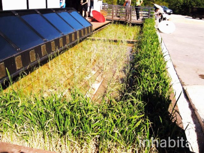 Chiba University, Japanese Omotanashi House, 2012 European Solar Decathlon, green house, green home, solar home, solar-powered home, Solar Decathlon 2012, Madrid Solar Decathlon, solar prefab, prefab home, photovoltaics