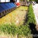 Chiba University, Japanese Omotanashi House, 2012 European Solar Decathlon, green house, green home, solar home, solar-powered home, Solar Decathlon 2012, Madrid Solar Decathlon, solar prefab, prefab home, photovoltaics