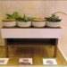100% Design, 100 Percent Design, London Design Festival, Eco Design, Sustainable Design, JiB Design Studio, Console O