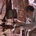 Everything is Incredible, helicopter, junk helicopter, polio, recycled materials, augustin,