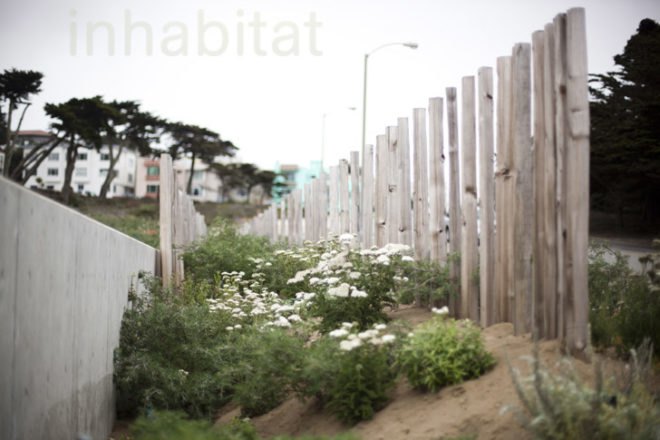 Lands End Lookout, San Francisco, EHDD, Lands End, Sutro Baths, LEED Platinum