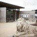 Lands End Lookout, San Francisco, EHDD, Lands End, Sutro Baths, LEED Platinum