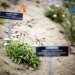 Lands End Lookout, San Francisco, EHDD, Lands End, Sutro Baths, LEED Platinum