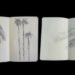 Ivan Juarez, X-Studio, X-Studio Architecture, Natural Architecture, Palm Observatory, Lightweave Palm Observatory, All Saints Bay Brazil, Itaparica Brazil, Green Building, Natural Building