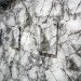 green design, eco design, sustainable design, Liliana Porter, Wrinkle Environment, Reina Sofia Museum, eco art, recyclable art, paper art, paper artwork, recycled paper art