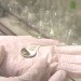 Lithium batteries, Tokyo University of Science, Hard Carbon batteries, Sodium Ion batteries, The Komaba Group, Renewable energy