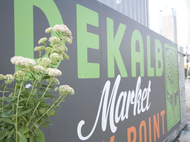 green design, eco design, sustainable design, Loosecubes, Dekalb Market, Brooklyn workspace, Brooklyn co-working, cargotecture, shipping container office