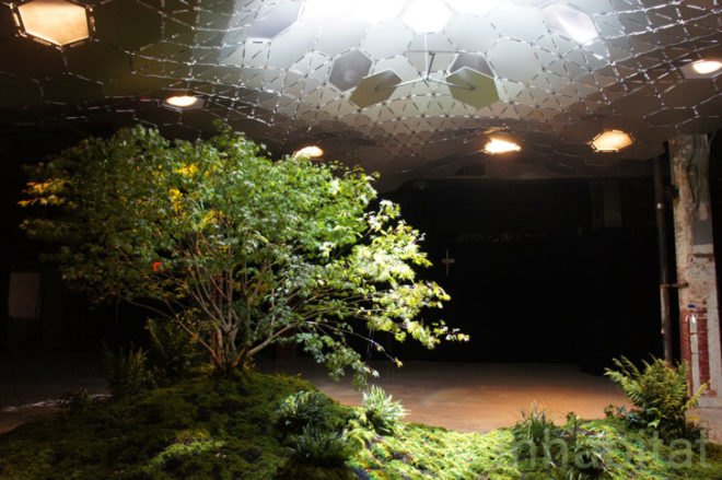 The Low Line Exhibit, Japanese Maple Tree, Subterranean Park, Underground Park, Fiberoptic sunlight transport, solar collection, fiber optic solar lights, lower east side, essex street market