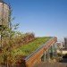 Corcoran Group, green design, eco design, sustainable design, Blesso Properties, Matt Blesso, eco-luxury, Doze Green, green roof, edible garden, 684 Broadway, green real estate Manhattan