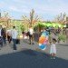 pop up market, Melbourne market, green building, container store, milk crate, portable bar, Melbourne graffiti,