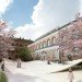 Natural History Museum of Denmark, Jaja Architects, Kengo Kuma, Erik Møller Arkitekter, green roof, botanical garden, museum design, architecture competition proposal, Denmark architecture