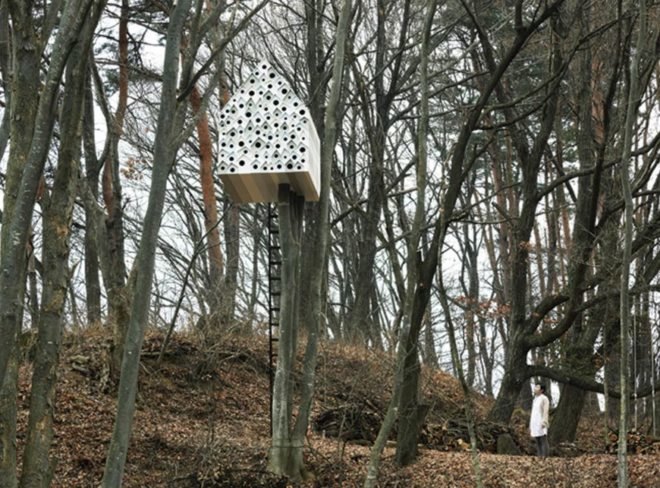 nendo, tree house, treehouses, sustainable design, green design, bird habitat, animals, green architecture, sustainable architecture, Bird-Apartment, Ando Momofuku Center, Komoro City, Japan