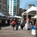 New Green City, fall activities nyc, fall festivals, fall foliage, fall food, fall fun, fall in new york, fall in new york city, things to do nyc, green nyc,